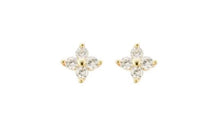 Load image into Gallery viewer, Quinn Clear Crystal Stud Gold